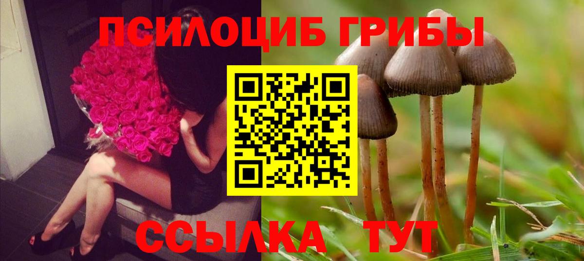 Галлюциногенные грибы Cubensis  Вход с VPN  Обь 